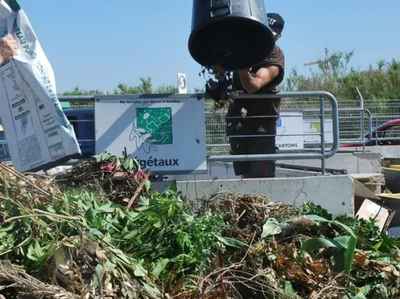 artisan élagueur angoulême charente élaguage poitiers haute vienne